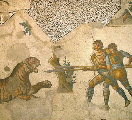 Fighting a Tiger in the Coliseum